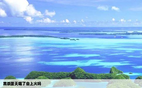 黑茶厦天喝了会上火吗