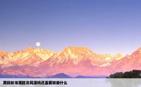 黑蚂蚁泡酒能治风湿吗还需要加些什么