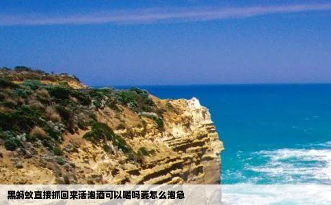 黑蚂蚁直接抓回来活泡酒可以喝吗要怎么泡急