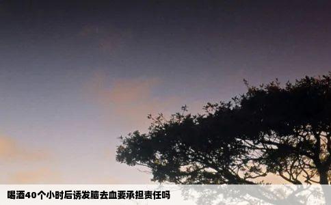 喝酒40个小时后诱发脑去血要承担责任吗