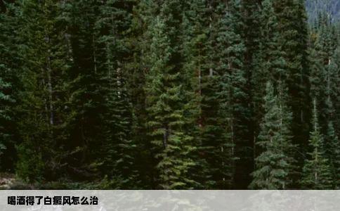 喝酒得了白癜风怎么治