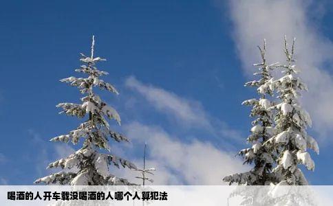 喝酒的人开车载没喝酒的人哪个人算犯法