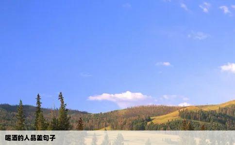 喝酒的人品差句子