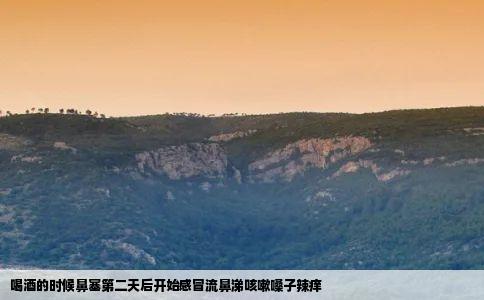 喝酒的时候鼻塞第二天后开始感冒流鼻涕咳嗽嗓子辣痒