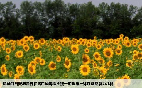 喝酒的时候总是存在喝白酒啤酒不统一的现象一杯白酒换算为几杯