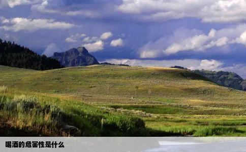 喝酒的危害性是什么