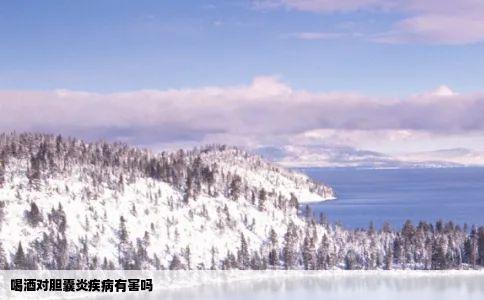 喝酒对胆囊炎疾病有害吗
