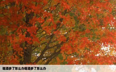 喝酒多了怎么办喝酒多了怎么办