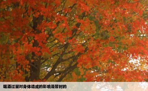 喝酒过量对身体造成的影响是暂时的