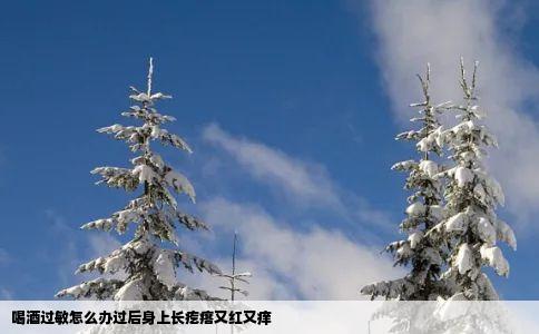 喝酒过敏怎么办过后身上长疙瘩又红又痒