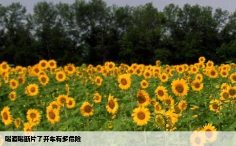 喝酒喝断片了开车有多危险