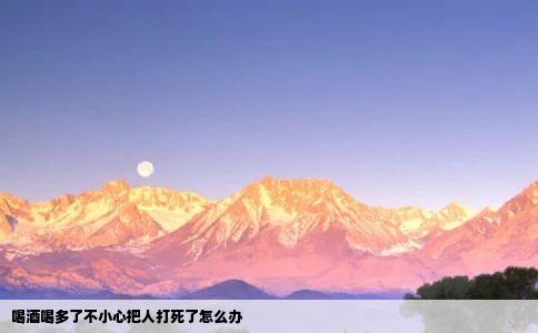 喝酒喝多了不小心把人打死了怎么办