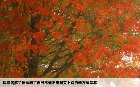 喝酒喝多了后睡着了自己不知不觉起来上别的地方睡是怎
