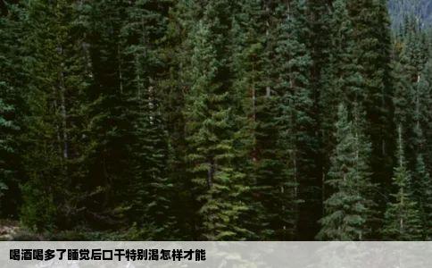 喝酒喝多了睡觉后口干特别渴怎样才能
