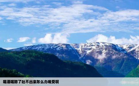 喝酒喝醉了吐不出来怎么办难受啊