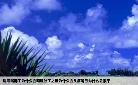 喝酒喝醉了为什么会呕吐吐了之后为什么会头痛嘴巴为什么会很干