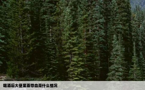 喝酒后大便里面带血是什么情况