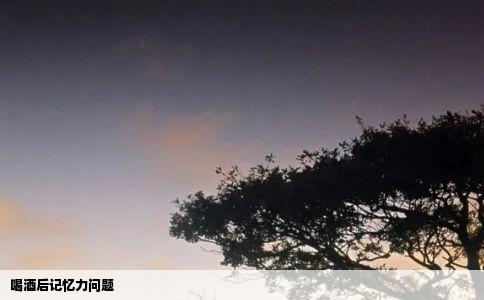 喝酒后记忆力问题