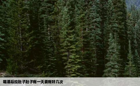 喝酒后拉肚子肚子疼一天要疼好几次