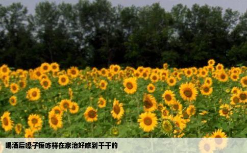 喝酒后嗓子疼咋样在家治好感到干干的