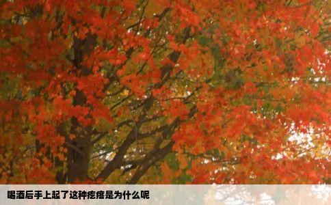喝酒后手上起了这种疙瘩是为什么呢