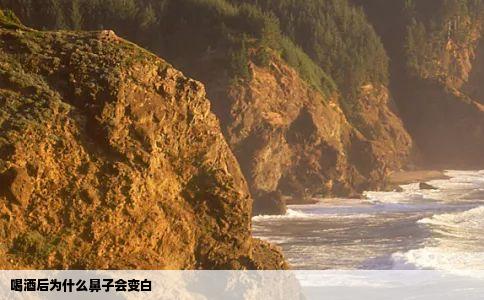 喝酒后为什么鼻子会变白