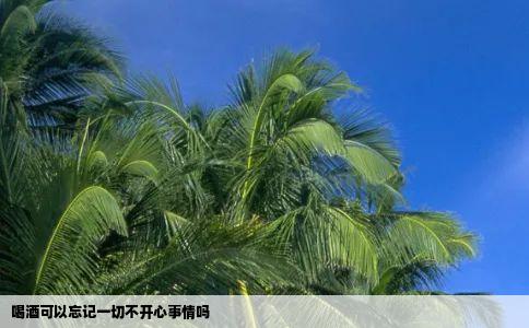 喝酒可以忘记一切不开心事情吗