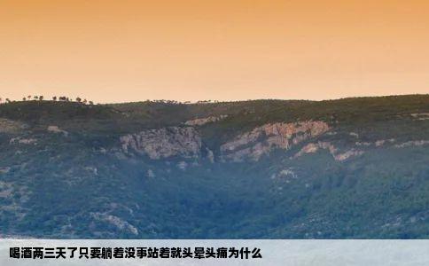 喝酒两三天了只要躺着没事站着就头晕头痛为什么