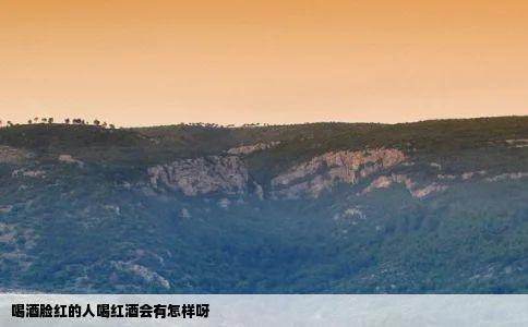 喝酒脸红的人喝红酒会有怎样呀