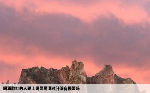 喝酒脸红的人晚上喝葡萄酒对肝脏有损害吗