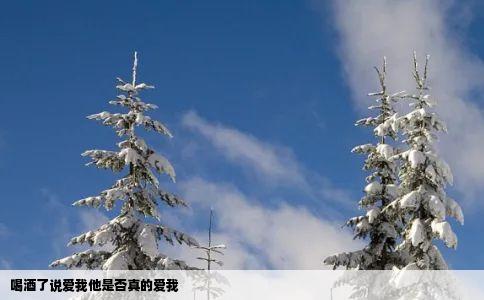 喝酒了说爱我他是否真的爱我