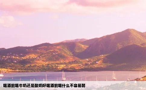 喝酒前喝牛奶还是酸奶好喝酒前喝什么不容易醉