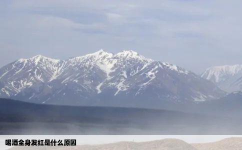 喝酒全身发红是什么原因