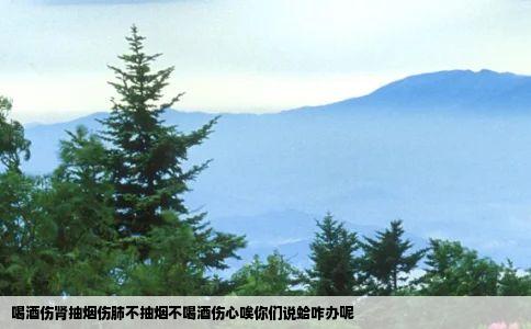 喝酒伤肾抽烟伤肺不抽烟不喝酒伤心唉你们说蛤咋办呢