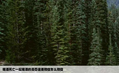 喝酒死亡一起喝酒的是否需要赔偿怎么赔偿