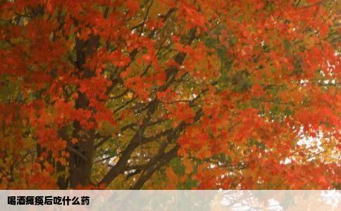 喝酒瘫痪后吃什么药