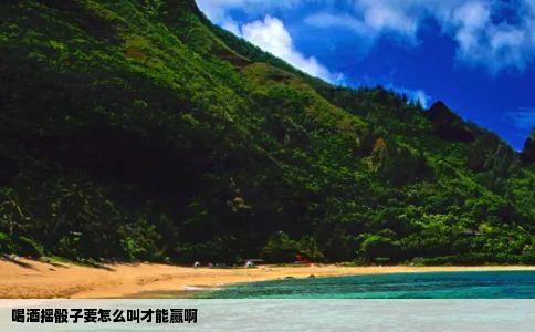 喝酒摇骰子要怎么叫才能赢啊