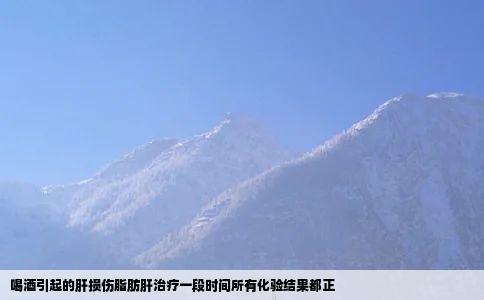 喝酒引起的肝损伤脂肪肝治疗一段时间所有化验结果都正