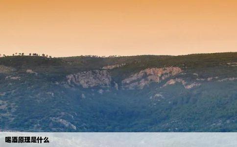 喝酒原理是什么