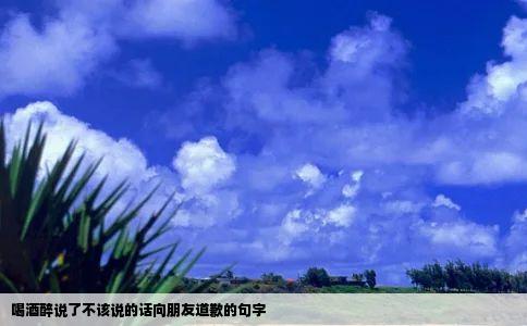 喝酒醉说了不该说的话向朋友道歉的句字