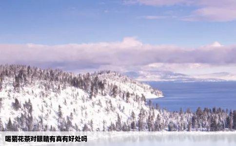 喝菊花茶对眼睛有真有好处吗