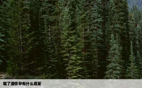 喝了酒怀孕有什么危害