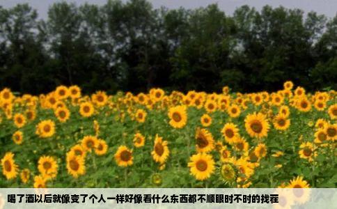 喝了酒以后就像变了个人一样好像看什么东西都不顺眼时不时的找茬