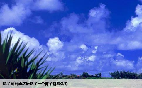 喝了葡萄酒之后吃了一个柿子饼怎么办