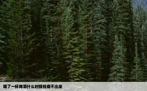 喝了一杯啤酒什么时候检查不出来