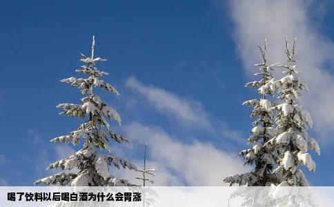 喝了饮料以后喝白酒为什么会胃涨