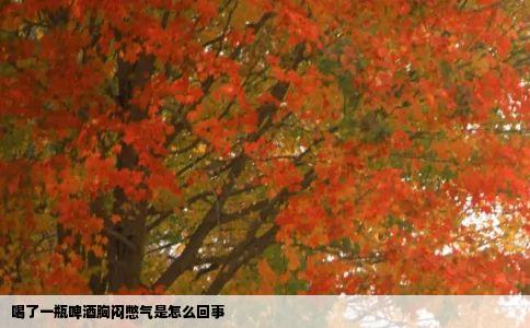 喝了一瓶啤酒胸闷憋气是怎么回事