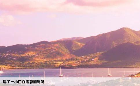 喝了一小口白酒算酒驾吗