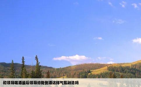 和领导喝酒最后领导给我倒酒这样气氛融洽吗