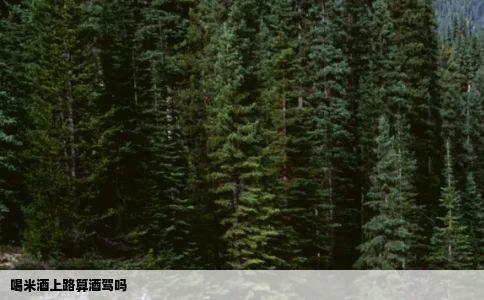 喝米酒上路算酒驾吗